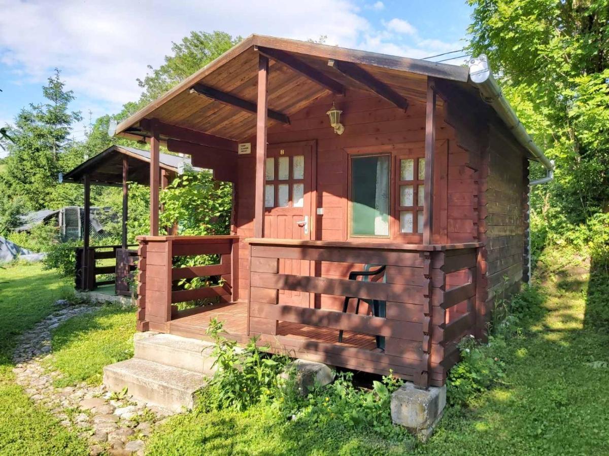 Bungalow Camping Edelweiss - Floare De Colt - Gyopar Rimetea Zewnętrze zdjęcie