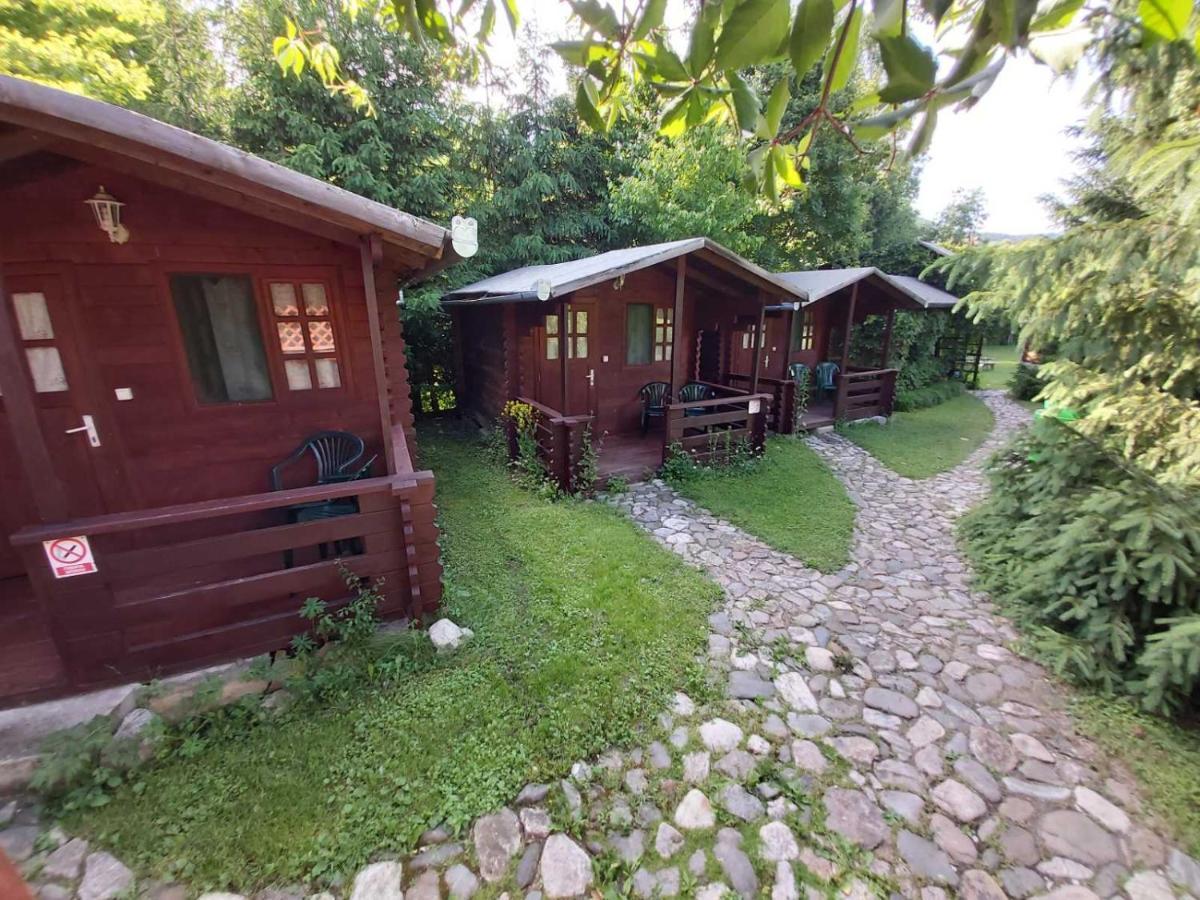 Bungalow Camping Edelweiss - Floare De Colt - Gyopar Rimetea Zewnętrze zdjęcie