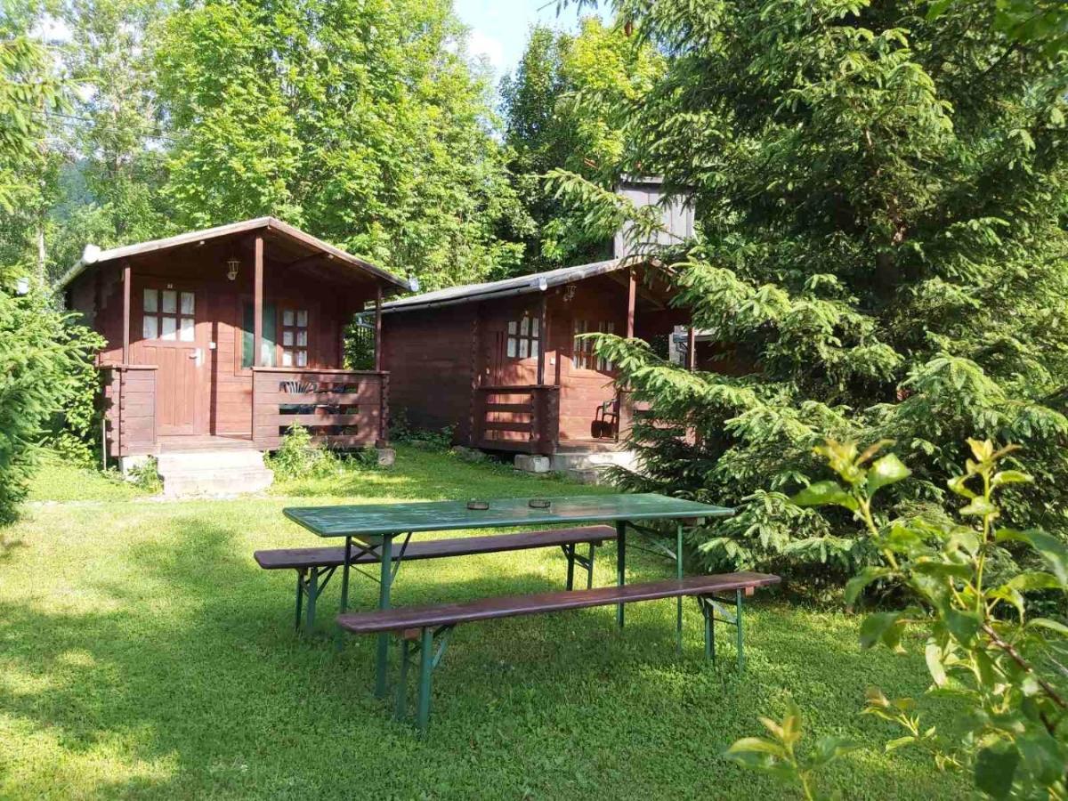 Bungalow Camping Edelweiss - Floare De Colt - Gyopar Rimetea Zewnętrze zdjęcie
