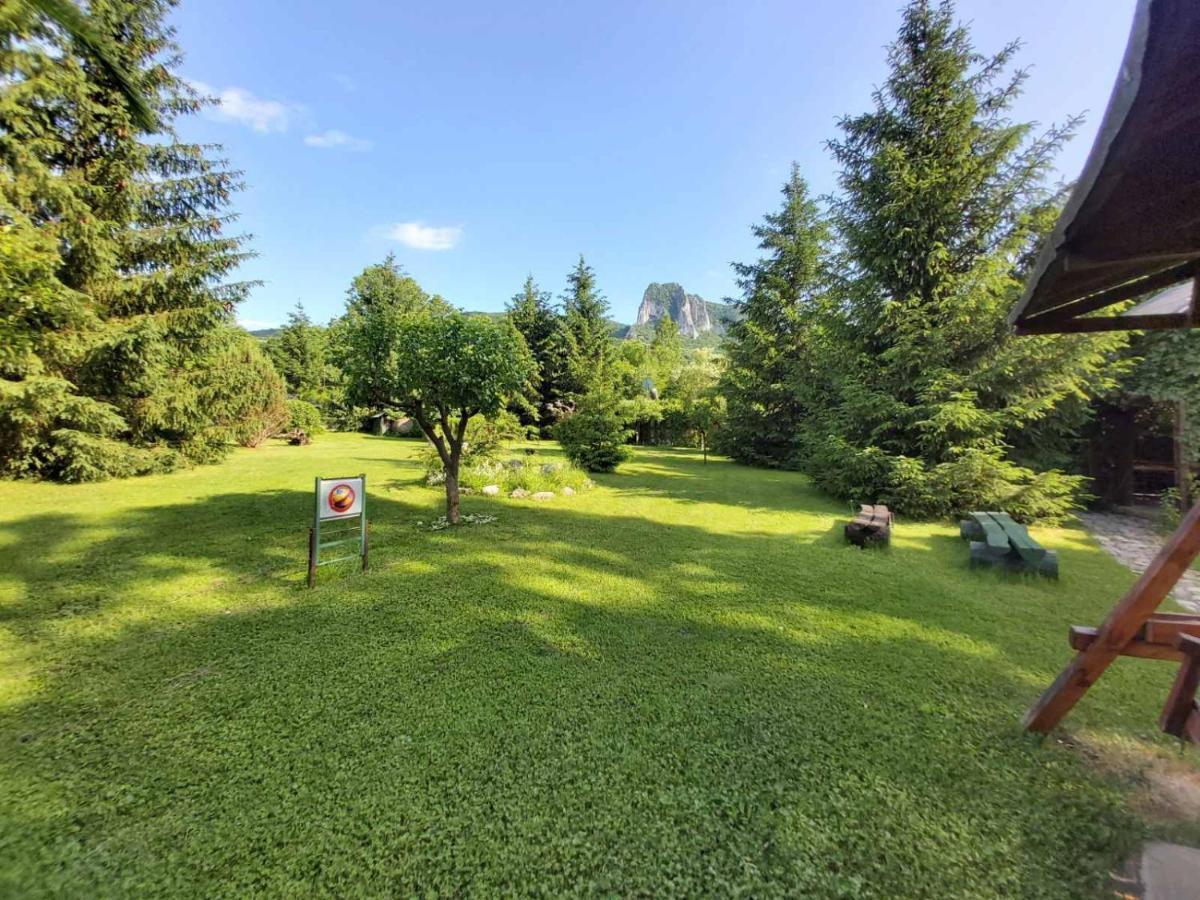 Bungalow Camping Edelweiss - Floare De Colt - Gyopar Rimetea Zewnętrze zdjęcie